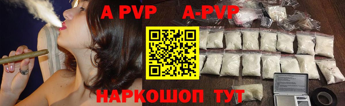 A PVP СК КРИС Оренбург
