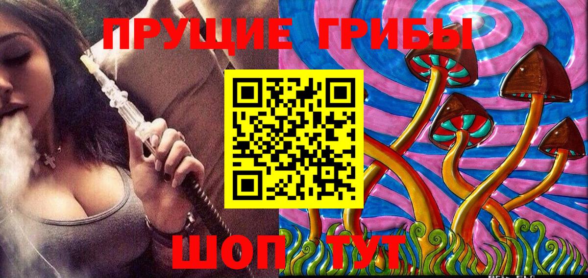 Галлюциногенные грибы Psilocybine cubensis  Вход с VPN  Оренбург 